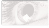Fotos e Vídeos